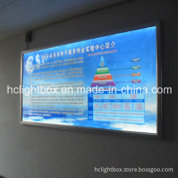 Super Large Light Box with Aluminum Frame